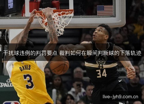 干扰球违例的判罚要点 裁判如何在瞬间判断球的下落轨迹